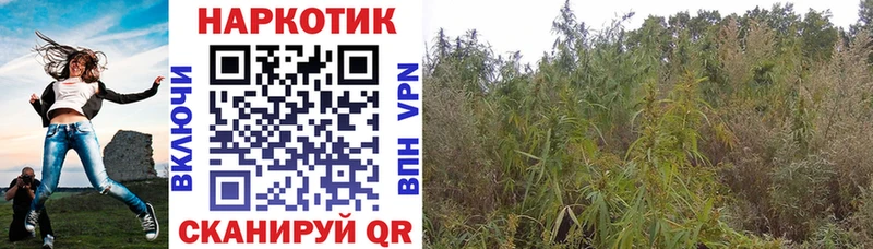 Наркотические вещества Избербаш АМФЕТАМИН  Бошки Шишки  СК  ГАШ  МЕФ  COCAIN 