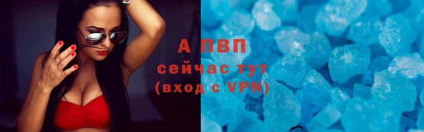 СК Абинск