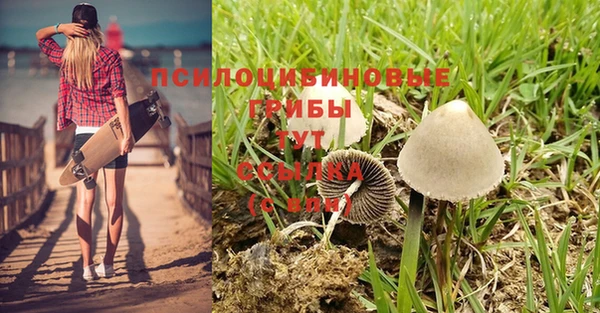 ПСИЛОЦИБИНОВЫЕ ГРИБЫ Абдулино