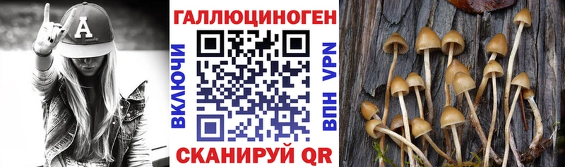 сколько стоит  hydra как войти  Псилоцибиновые грибы MAGIC MUSHROOMS  Избербаш 