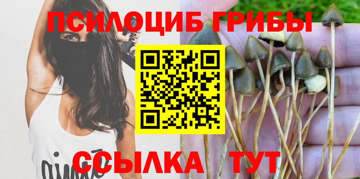 Галлюциногенные грибы мицелий Избербаш